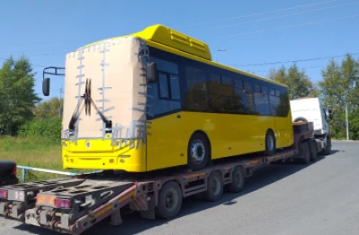 Автобусы